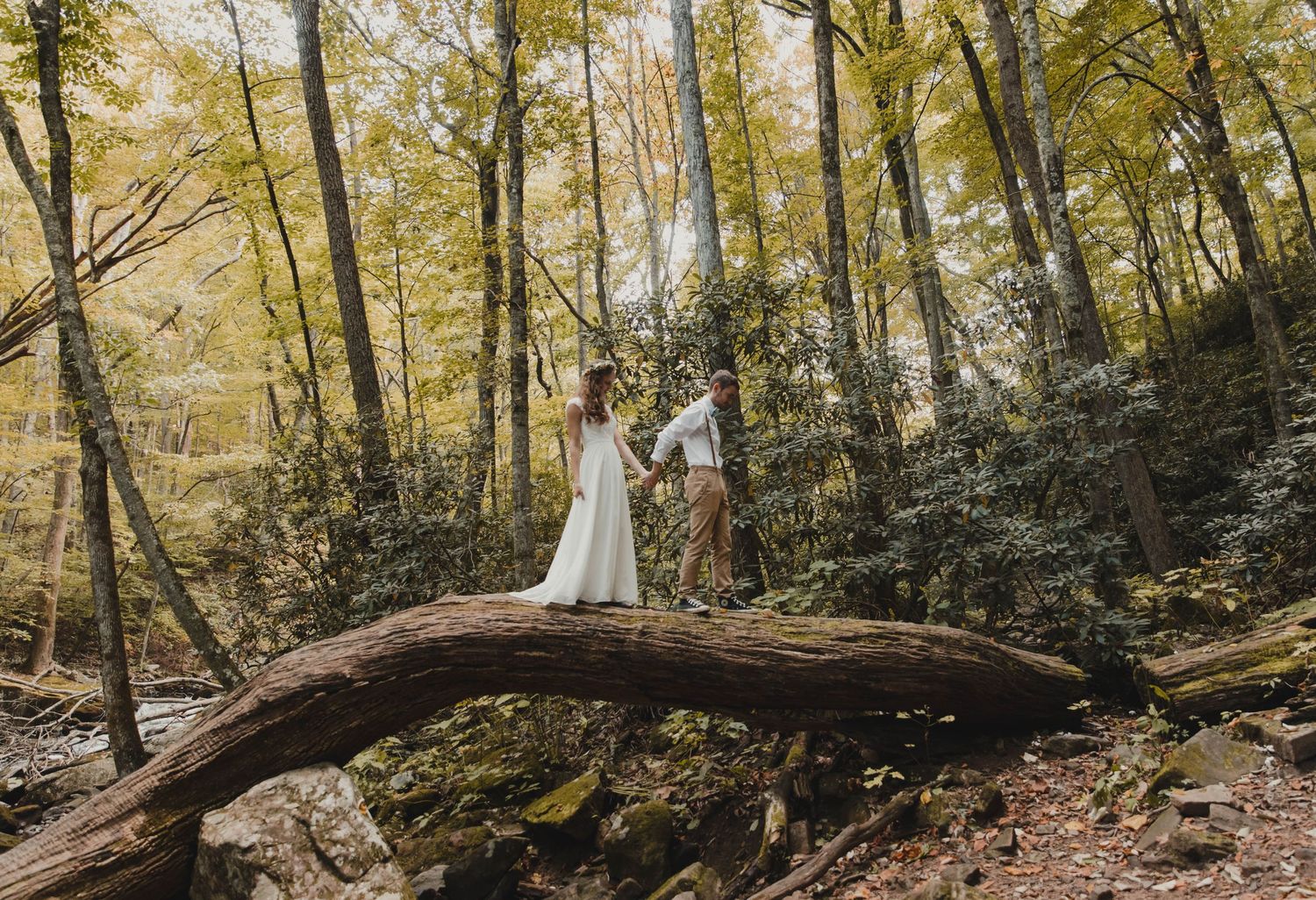 Photo of a bride and groom in the forest, walking across a fallen tree. Cascades National Recreation Area. Virginia