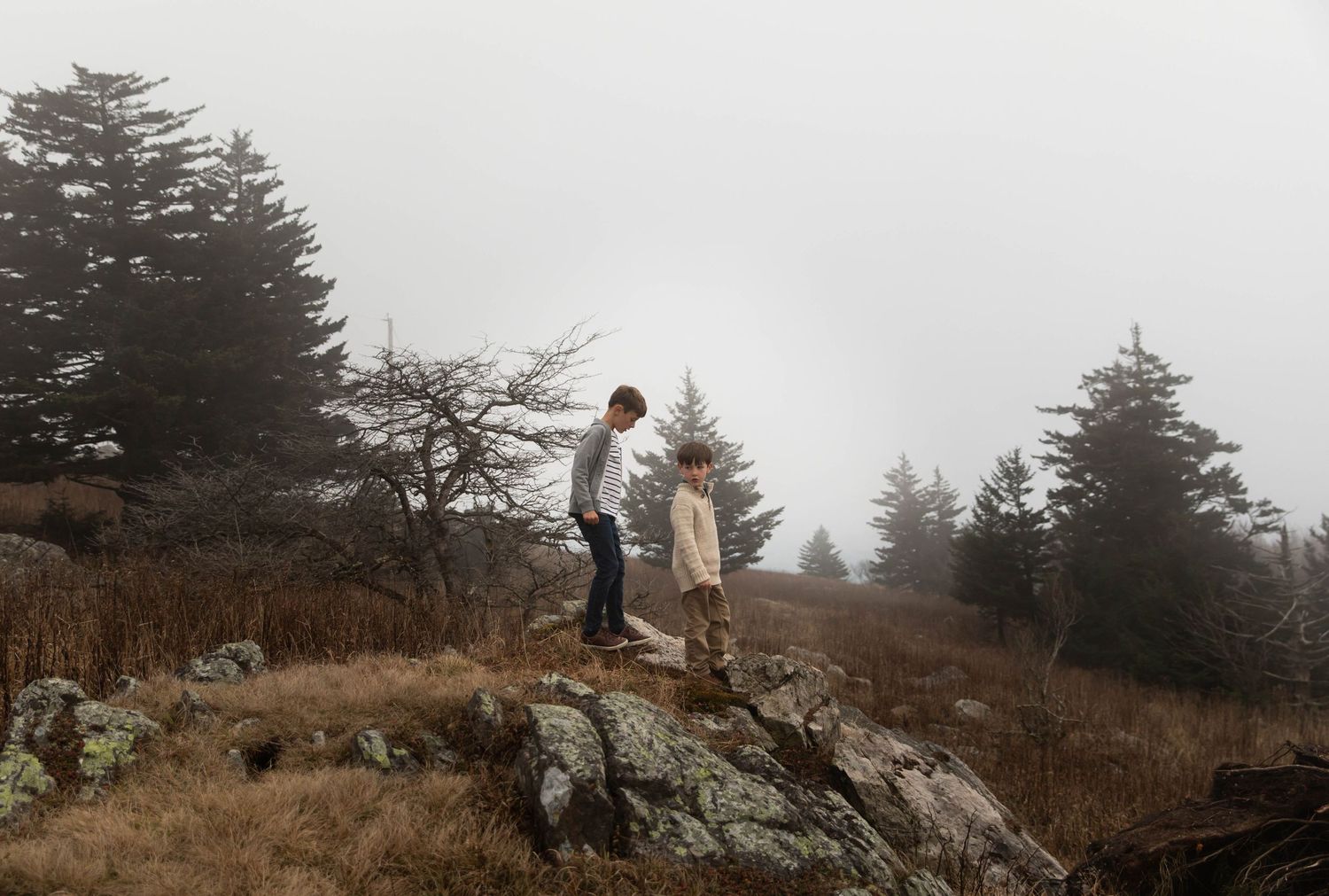 Photo of two brothers standing on a rock on a foggy mountain during a family photo shoot
