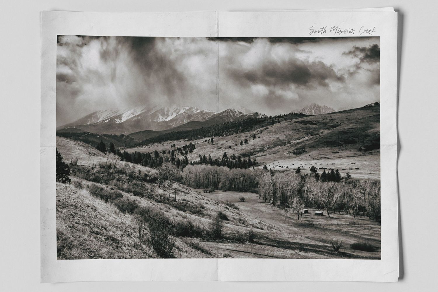Mission Creek Landscape photographed by Chris Douglas