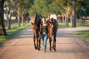 Two chestnut horses walk alongside a person on a tree-lined path during golden hour.