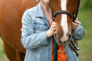 A chestnut horse with white markings on its face stands close to someone wearing a light denim jacket.