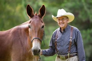 A beautiful chestnut horse stands with someone wearing a cowboy hat and plaid shirt in a lush outdoor setting.