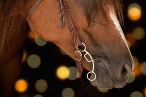 Close-up view of a chestnut horse's head with a silver bit harness against a blurred bokeh background.
