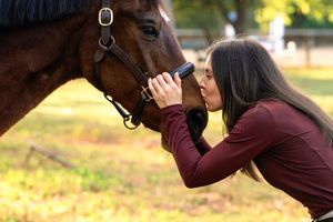 A loving moment between a dark brown horse and someone in a burgundy sweater nuzzling noses on a fall day.