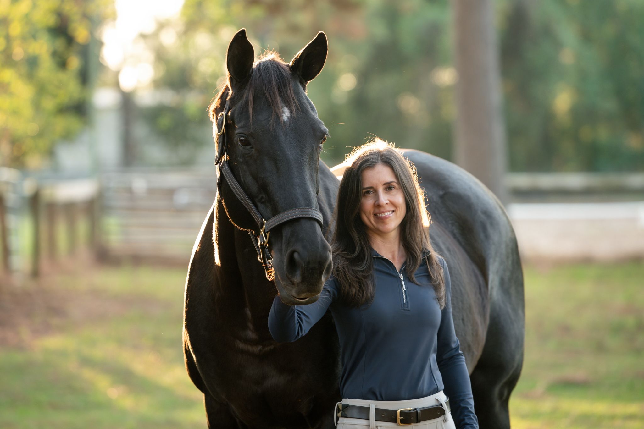 A beautiful black horse stands with a person outdoors during golden hour with natural lighting in the background.