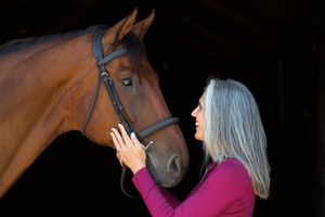 A woman in a purple sweater gently touches a brown horse's face against a dark background while sharing a tender moment.