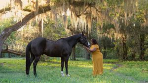 A person in a yellow dress bonds with a black horse in a scenic setting with Spanish moss-draped trees.