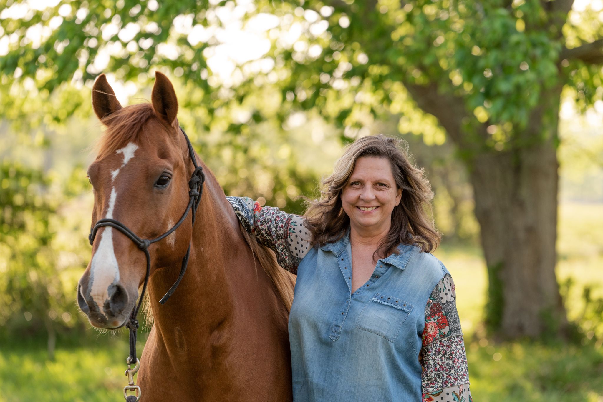 A chestnut horse with a white blaze stands in a sunlit pasture with trees in the background.