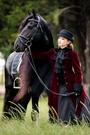 A beautiful black horse stands next to someone wearing an elegant burgundy velvet riding coat and black hat in a grassy field.