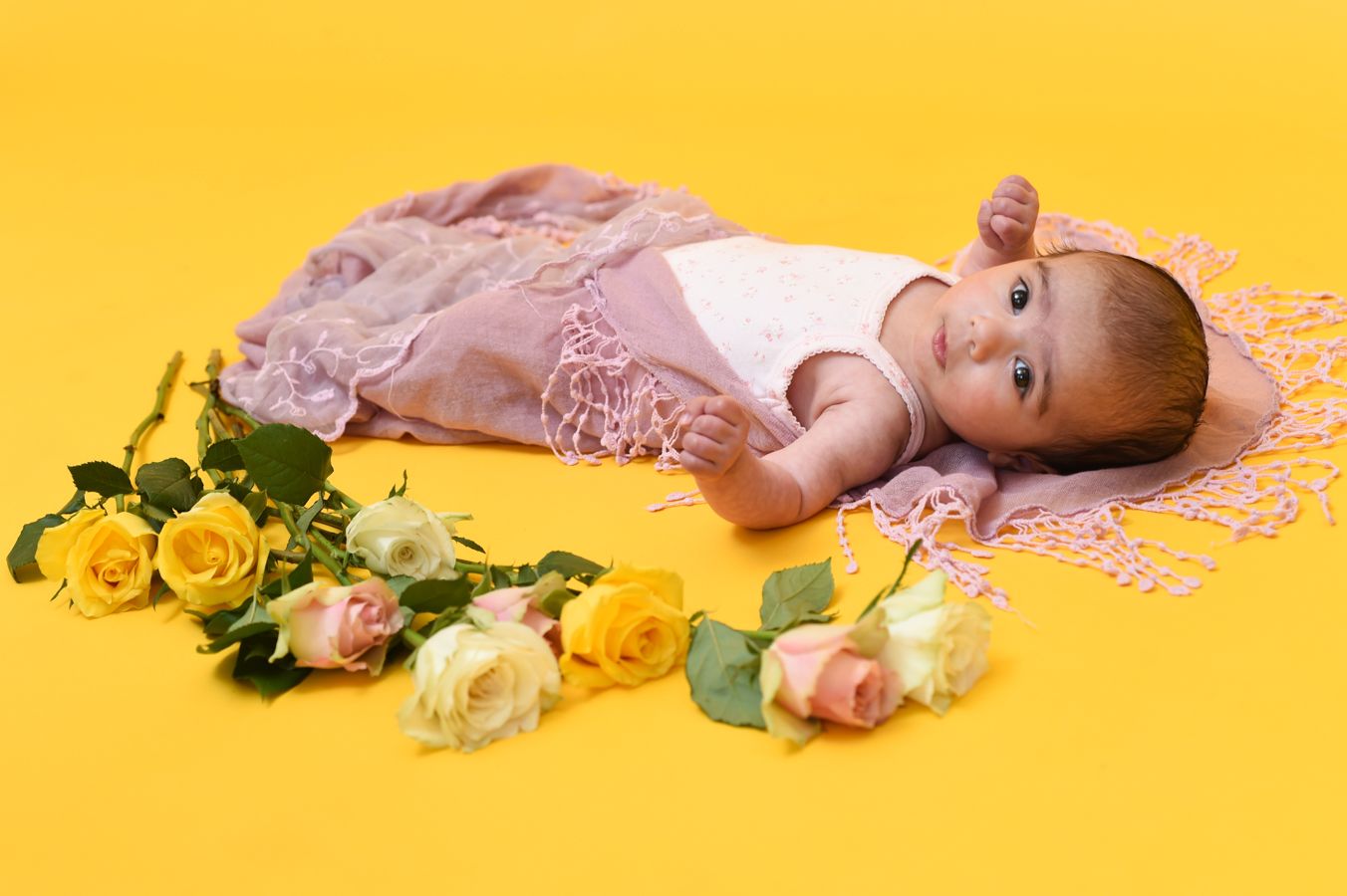 A baby rests on a soft yellow background adorned with yellow roses, photographed by Abigail's Studio in Buckinghamshire.