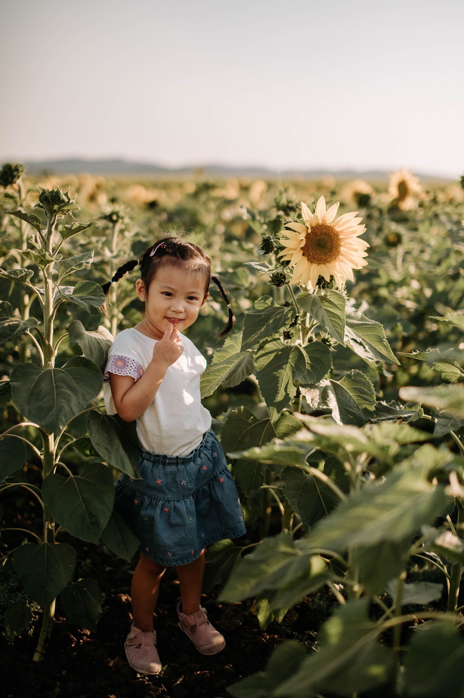 Standing beside a tall sunflower in a field during sunset.