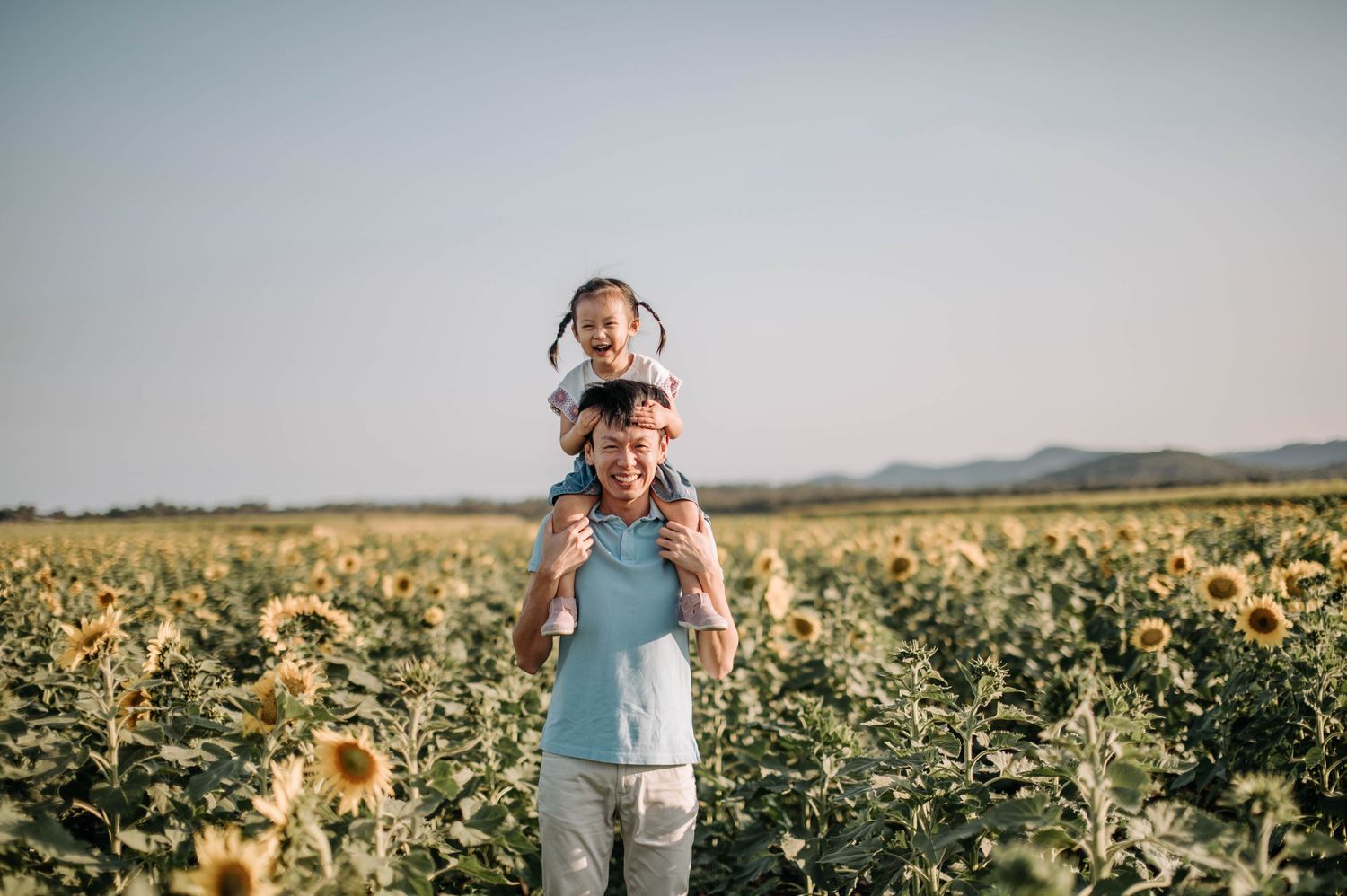 A joyful piggyback ride among blooming sunflowers at sunset.