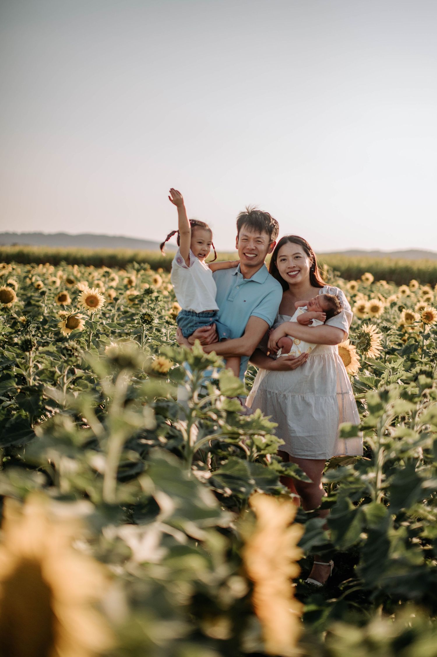 Energetic family portrait with child raising arms in sunflower field.