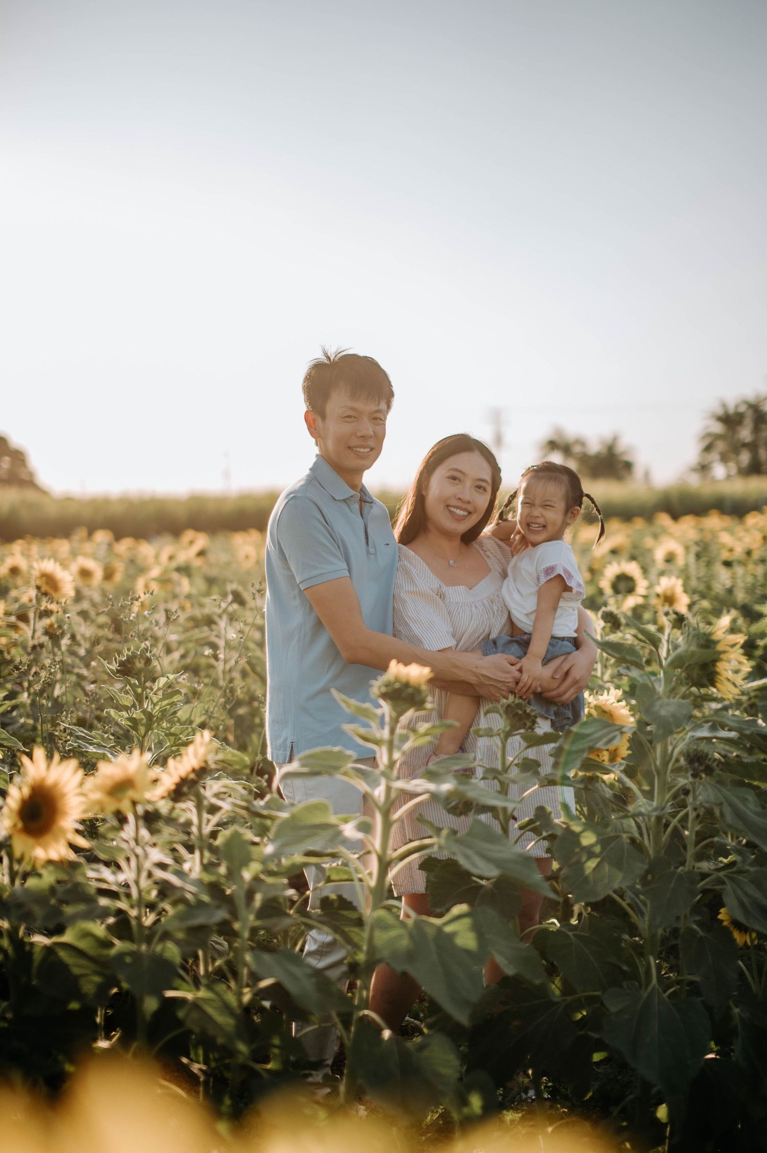 Happy family moment captured in golden sunflower field during sunset.