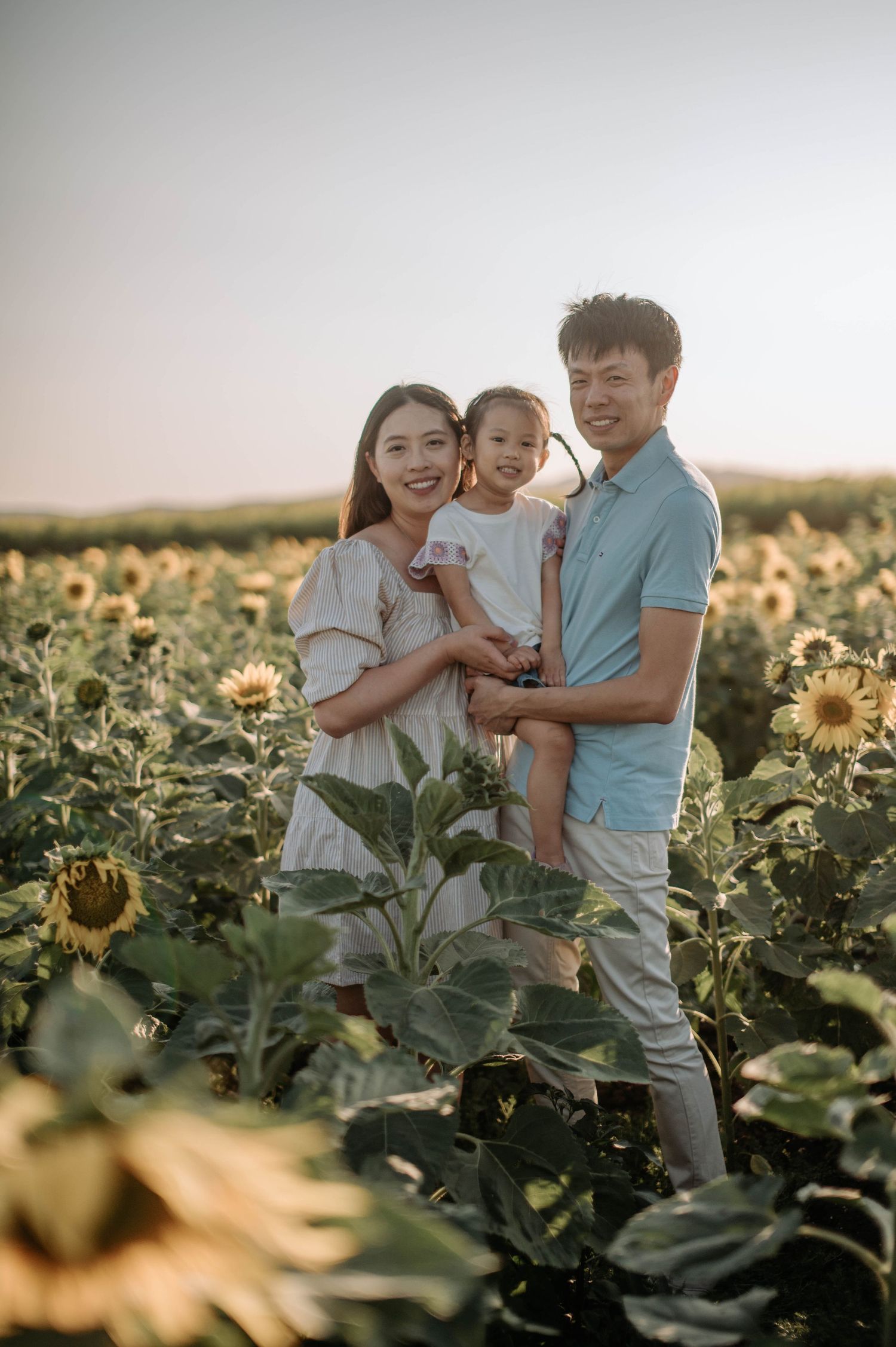 Family shares a tender moment together while standing in a vibrant sunflower field during golden hour.