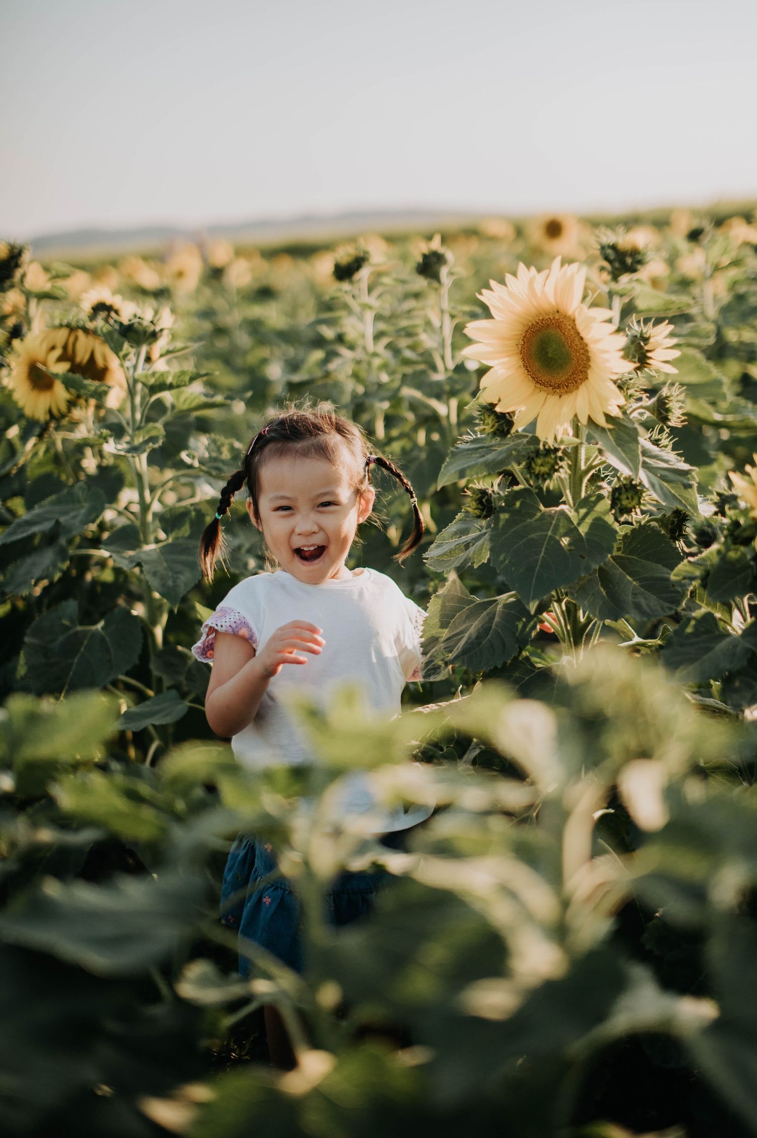 A joyful child playing in a vibrant field of blooming sunflowers during golden hour.