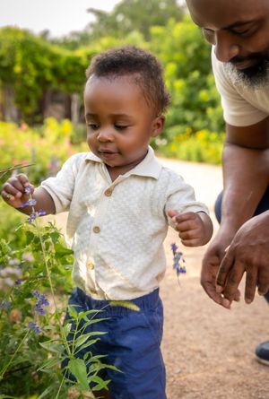 A toddler in a cream shirt and blue pants explores purple wildflowers in a garden with an adult nearby.