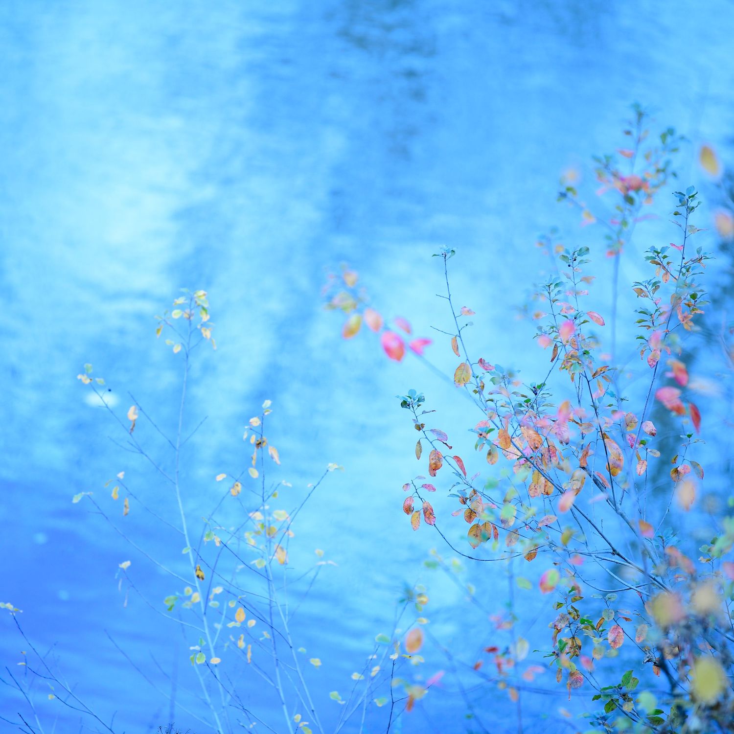 Photography shaped by presence, atmosphere and quiet observation.