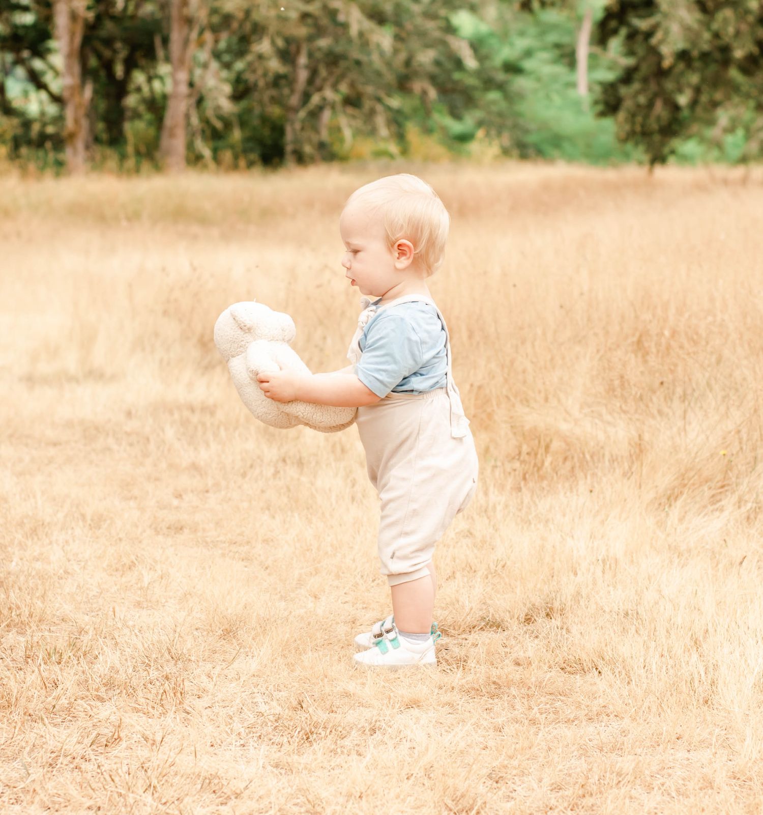 A toddler in blue and white clothing holds a stuffed bunny while standing in a golden wheat field.