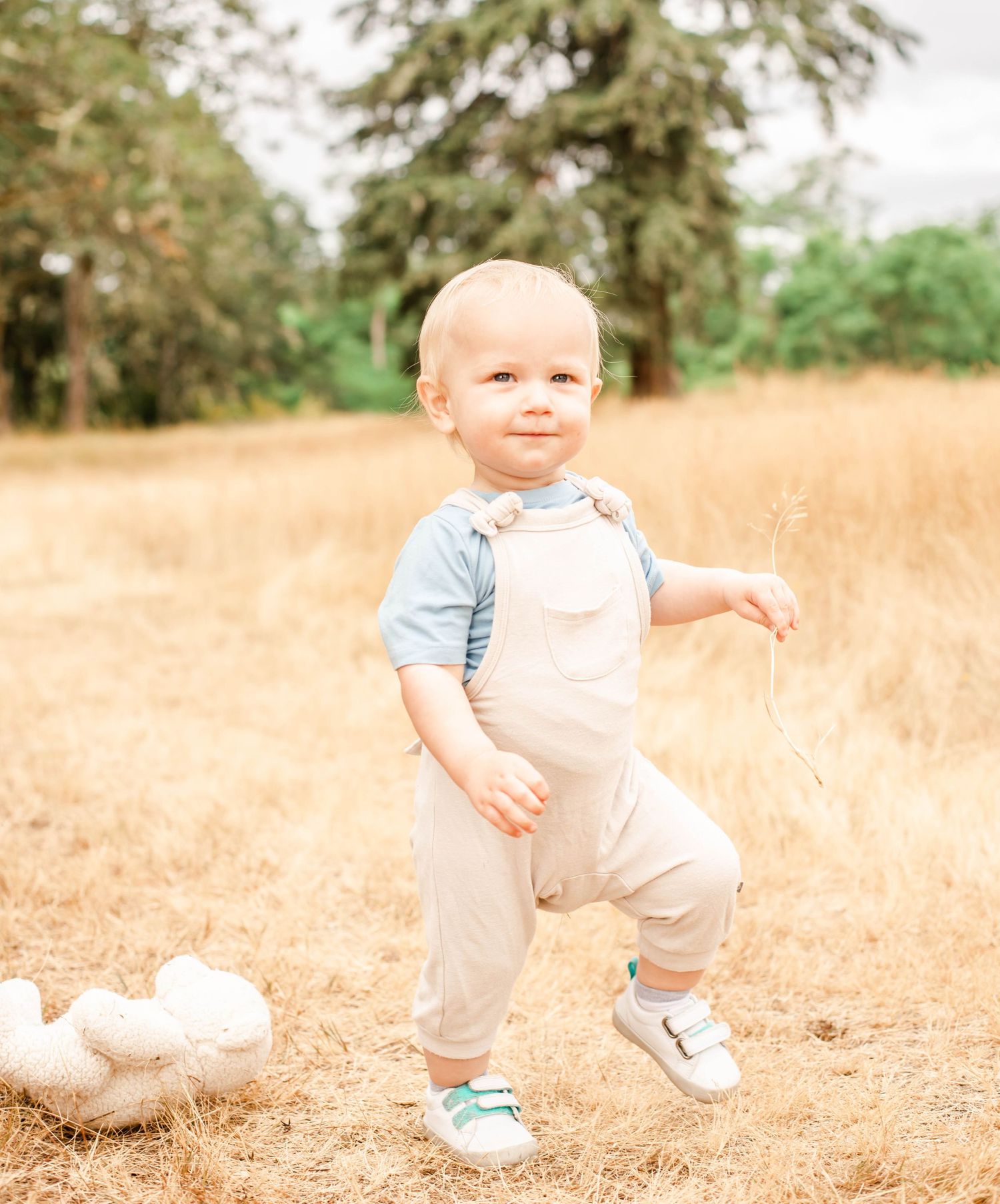 A small child stands in a golden field wearing a beige and gray outfit with blue sneakers.