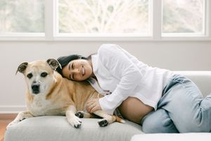 A person in white shirt and jeans relaxes on a couch with their tan mixed-breed dog in a bright room.