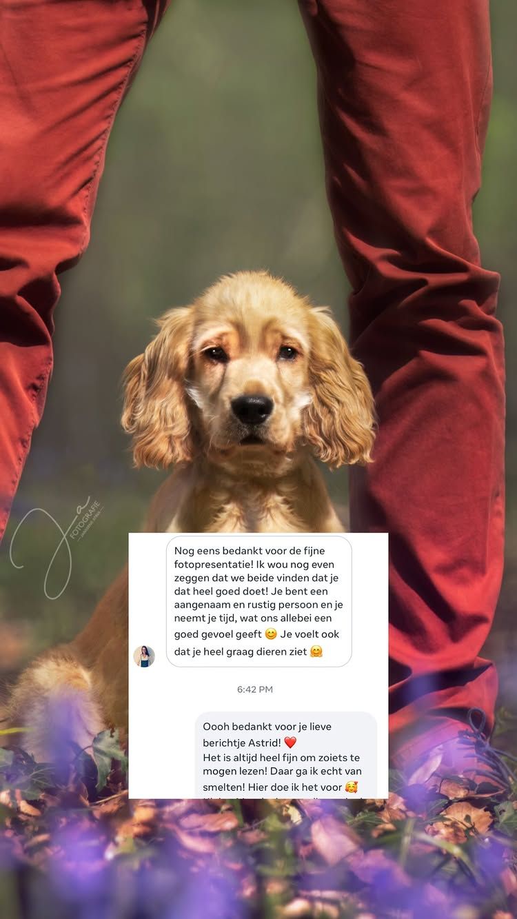 Paardenfotografie België portret van hond met eigenaar JA Fotografie. De band tussen mens en dier, de band tussen hond en eigenaar