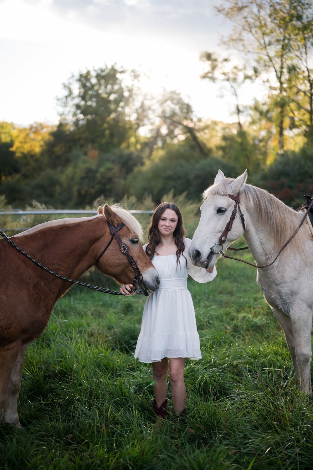 White horses grazing in lush green field during golden hour photography session.