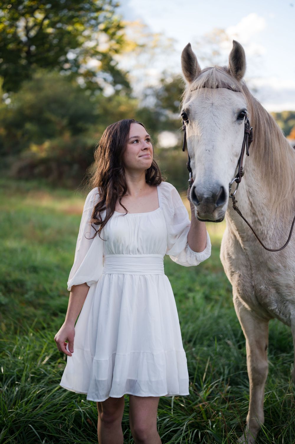 White horse and companion sharing gentle moment in grassy field.