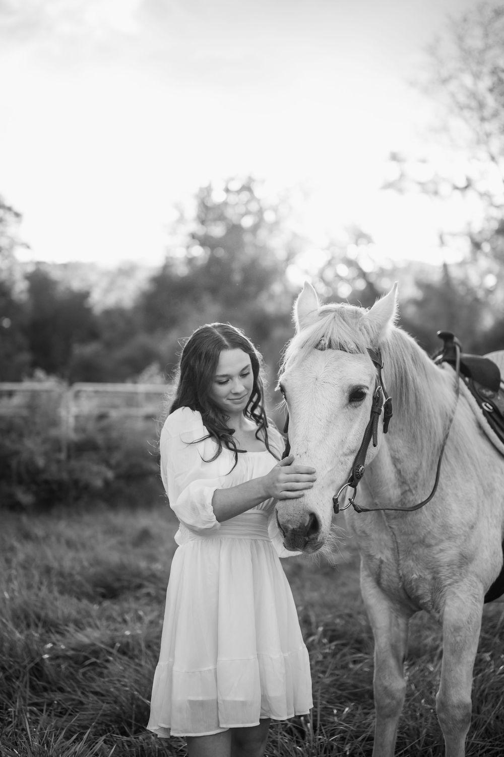 Black and white portrait of gentle interaction between horse and person in field.