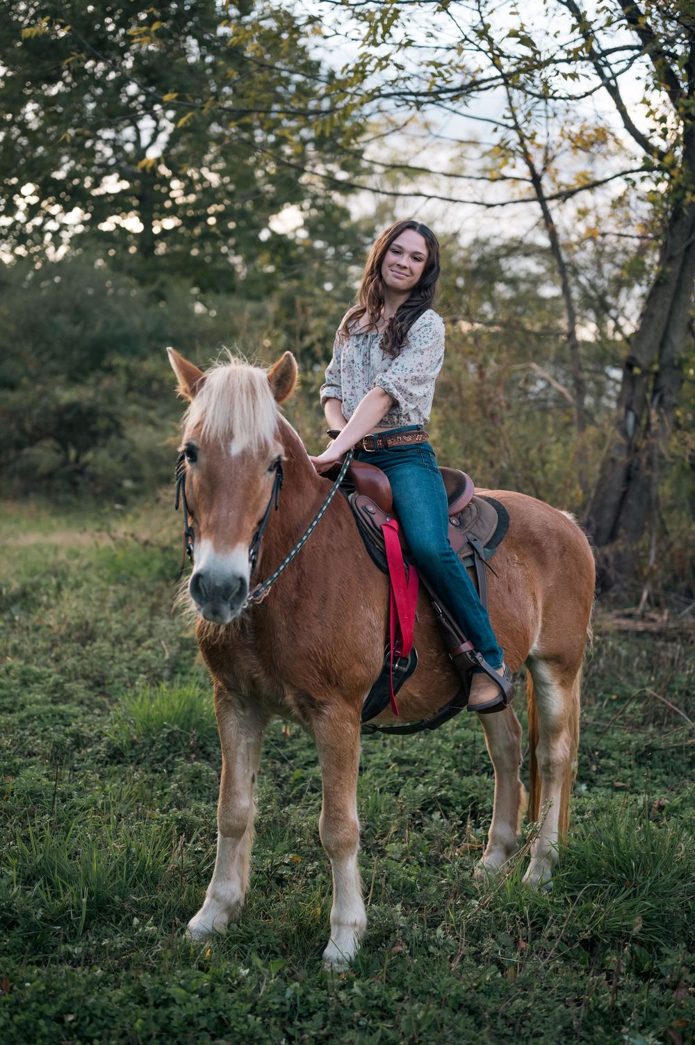A beautiful chestnut horse with a white mane stands in a grassy field during golden hour.