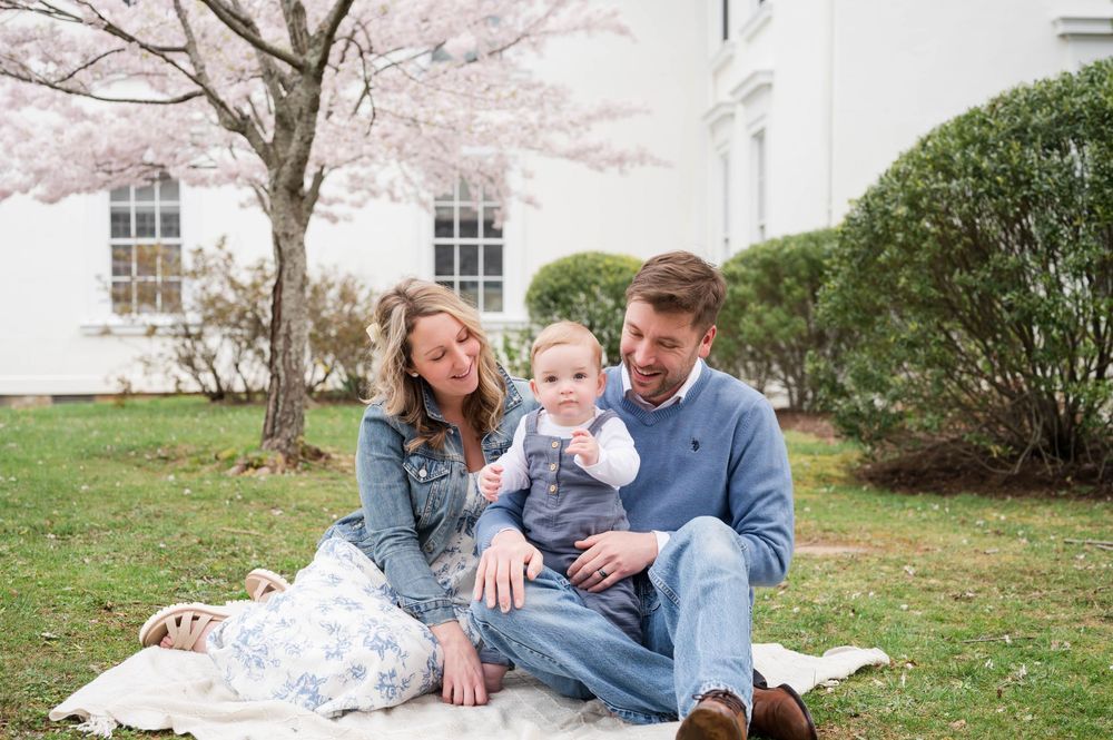 A family relaxes on a blanket under blooming cherry trees on a spring day. Cherry Blossom Mini Sessions Branford CT