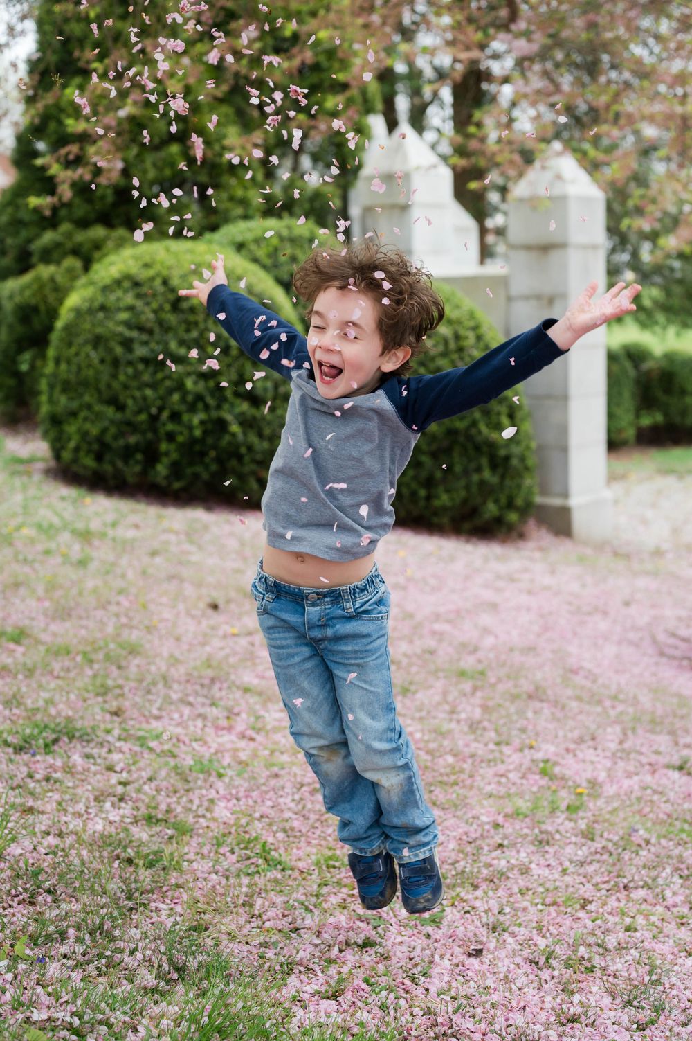 Child jumping joyfully on ground covered in pink cherry blossom petals. Cherry Blossom Mini Sessions Branford CT