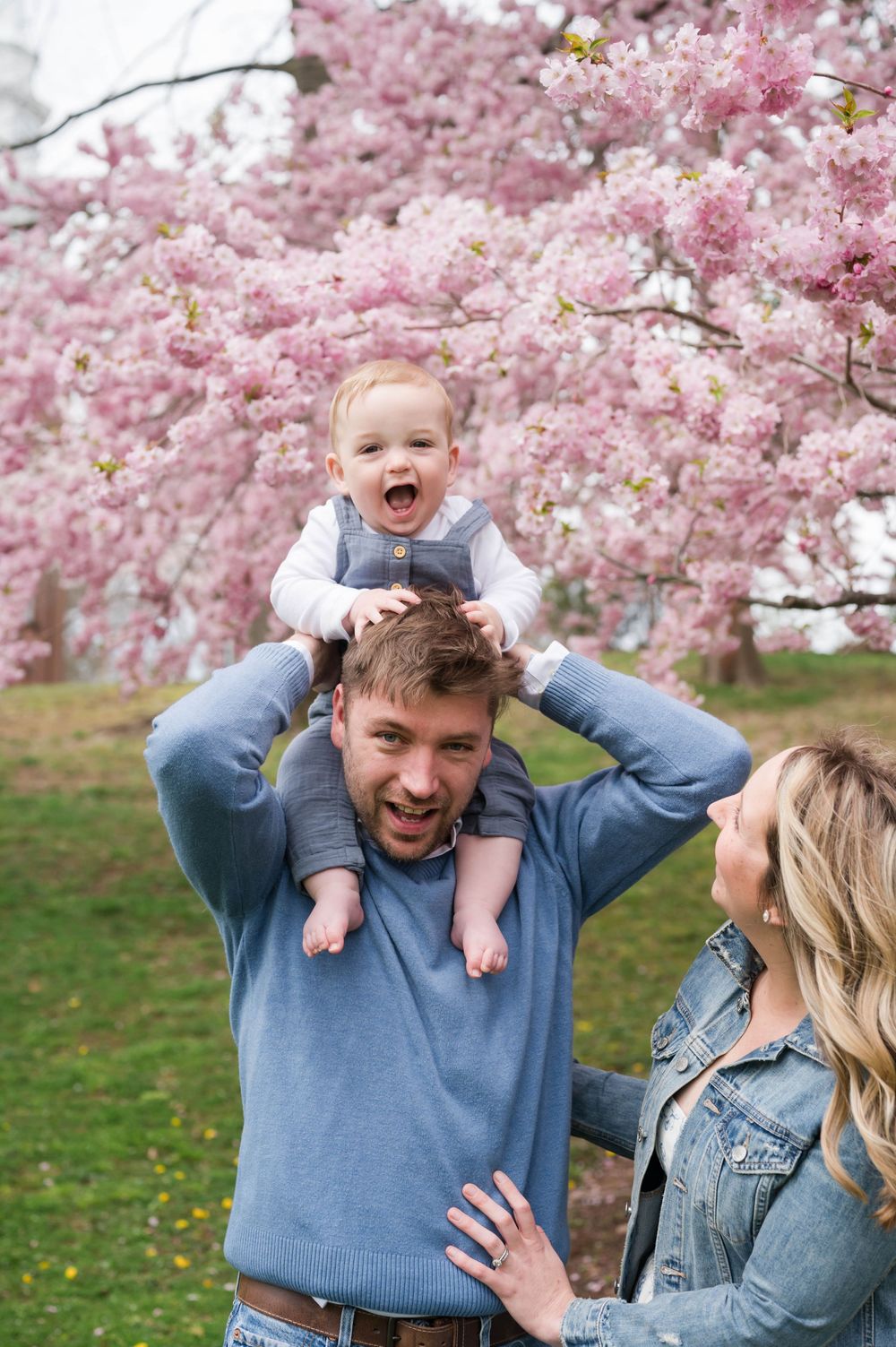 A playful family moment captured under pink cherry blossoms in springtime. Cherry Blossom Mini Sessions Branford CT