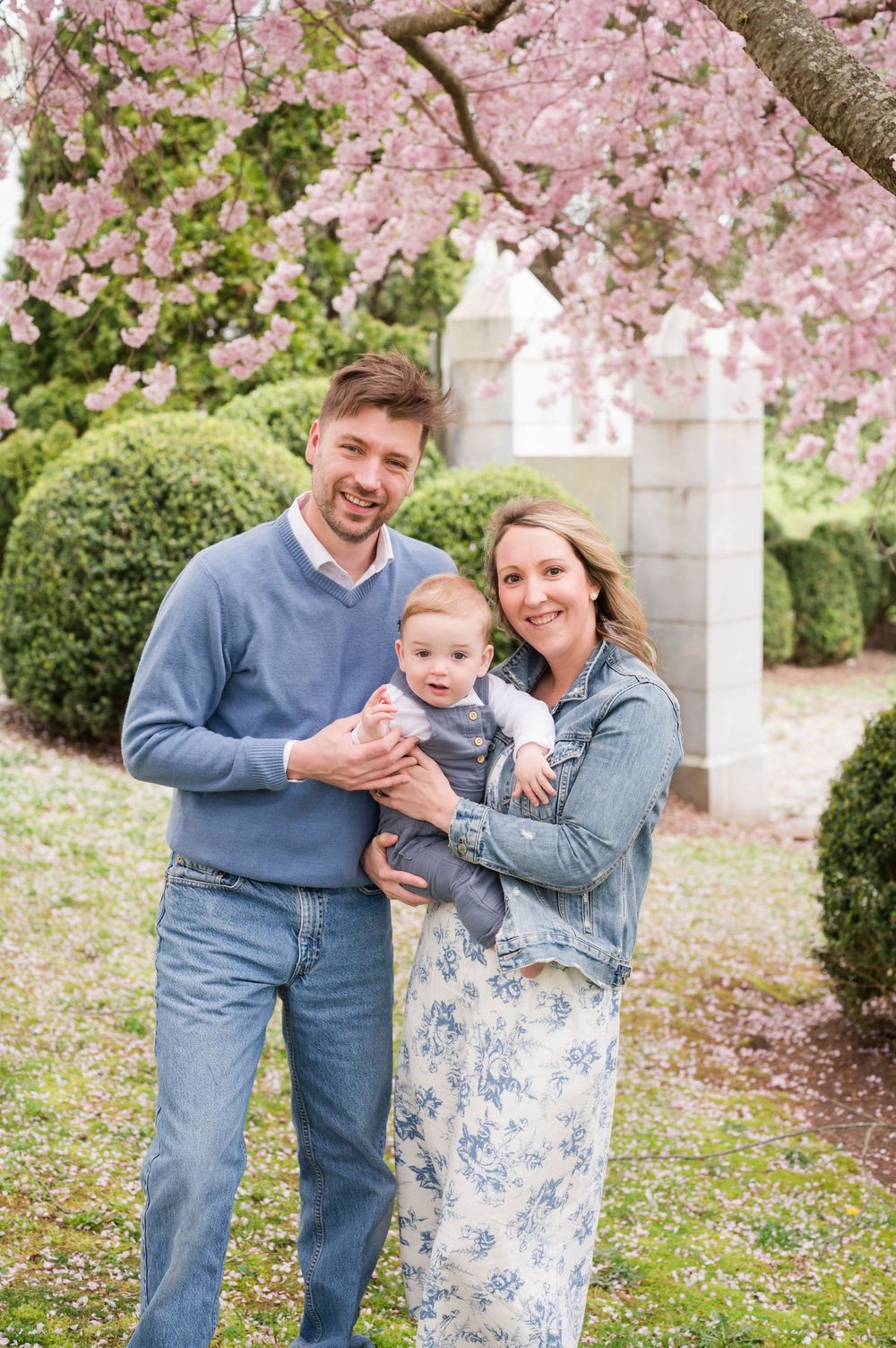 A family poses for portraits beneath flowering cherry trees on a spring day. Cherry Blossom Mini Sessions Branford CT