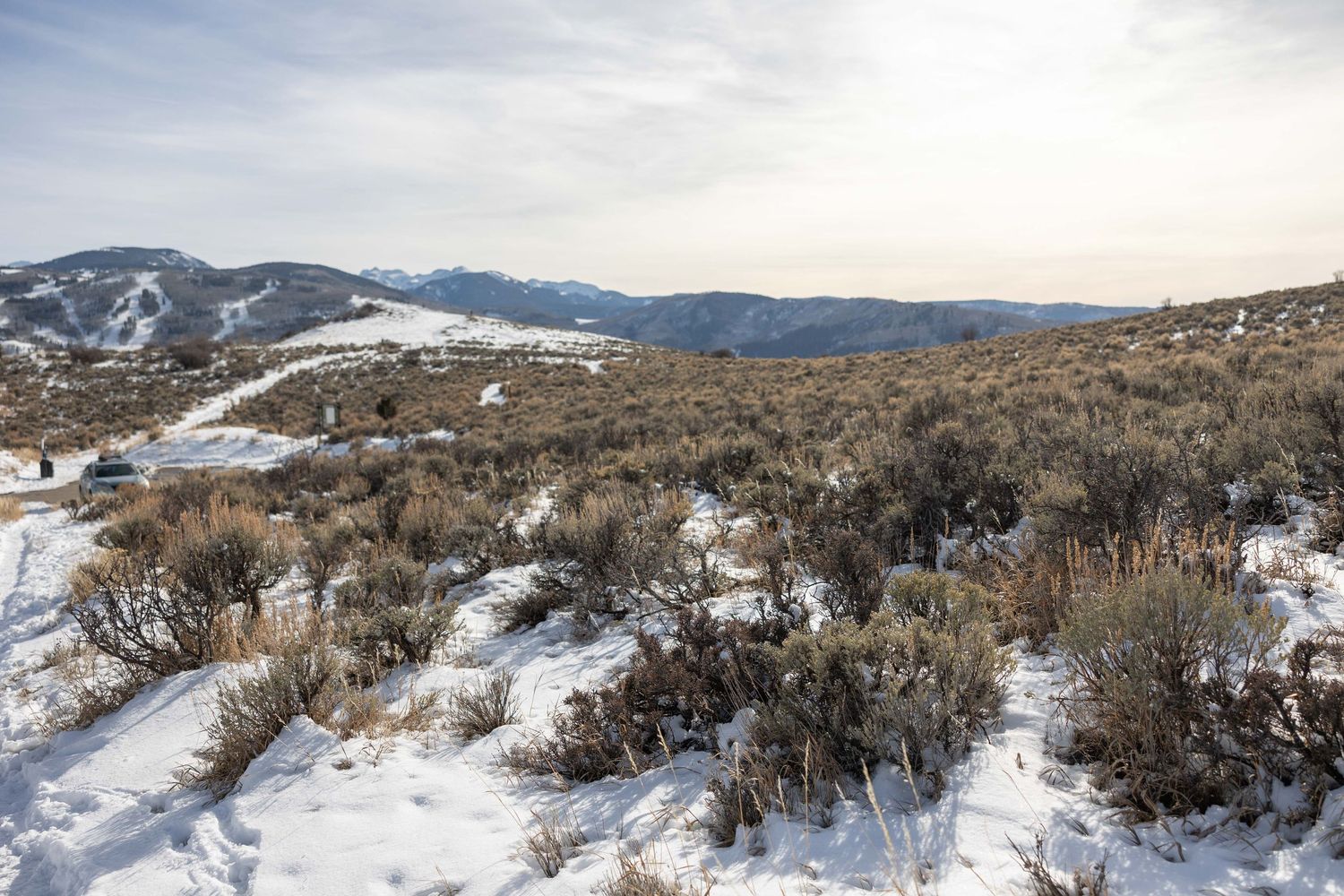 Snow-covered sagebrush dotted landscape with mountains in the background under cloudy winter skies.