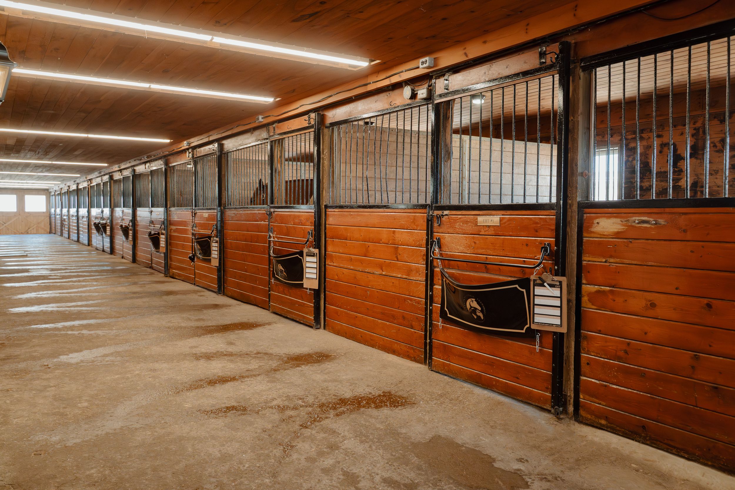 Interior view of a modern horse stable with wooden stalls, metal gates, and bright lighting along the corridor.