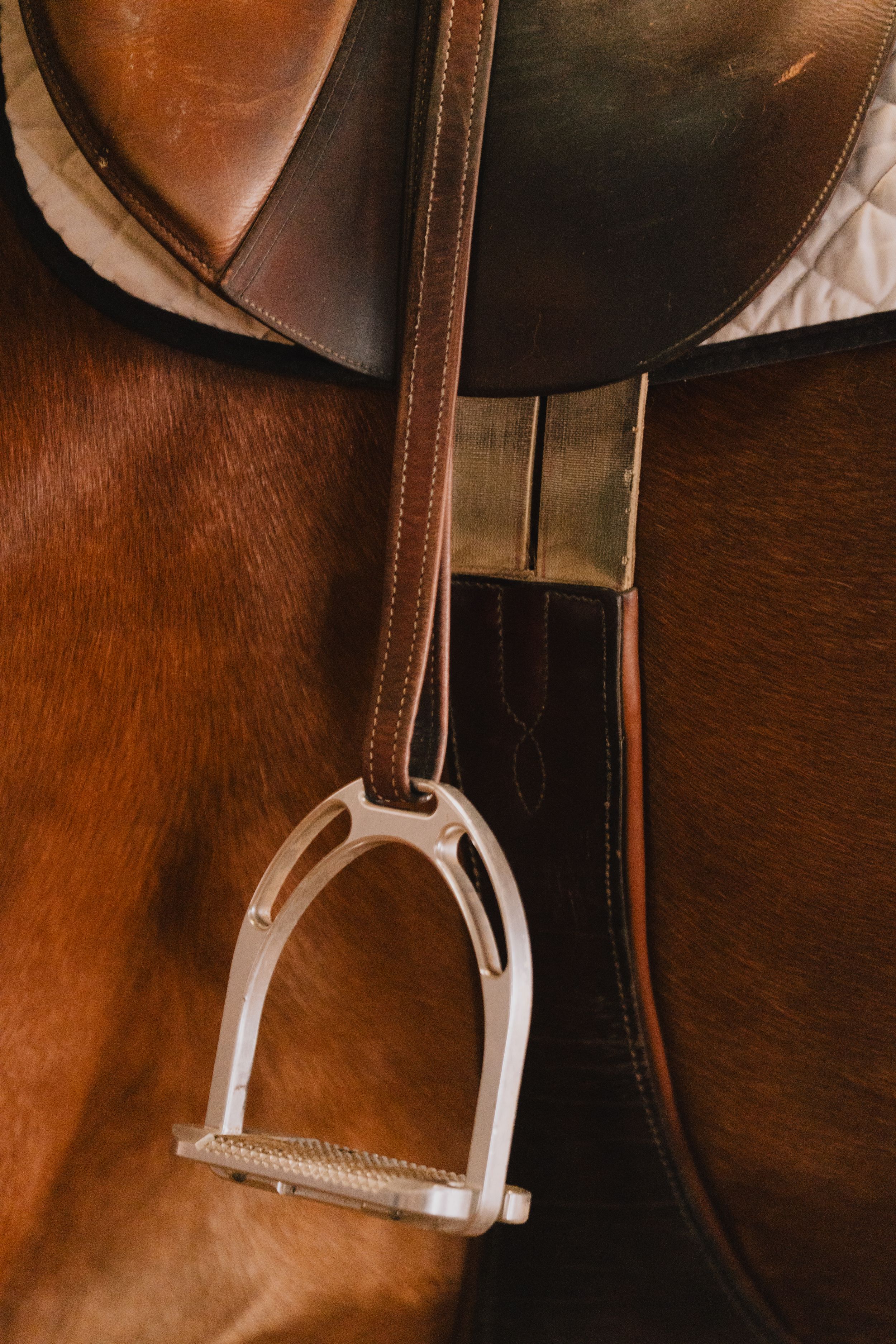 Close-up view of brown leather saddle with white stirrup against chestnut horse flank in warm lighting.