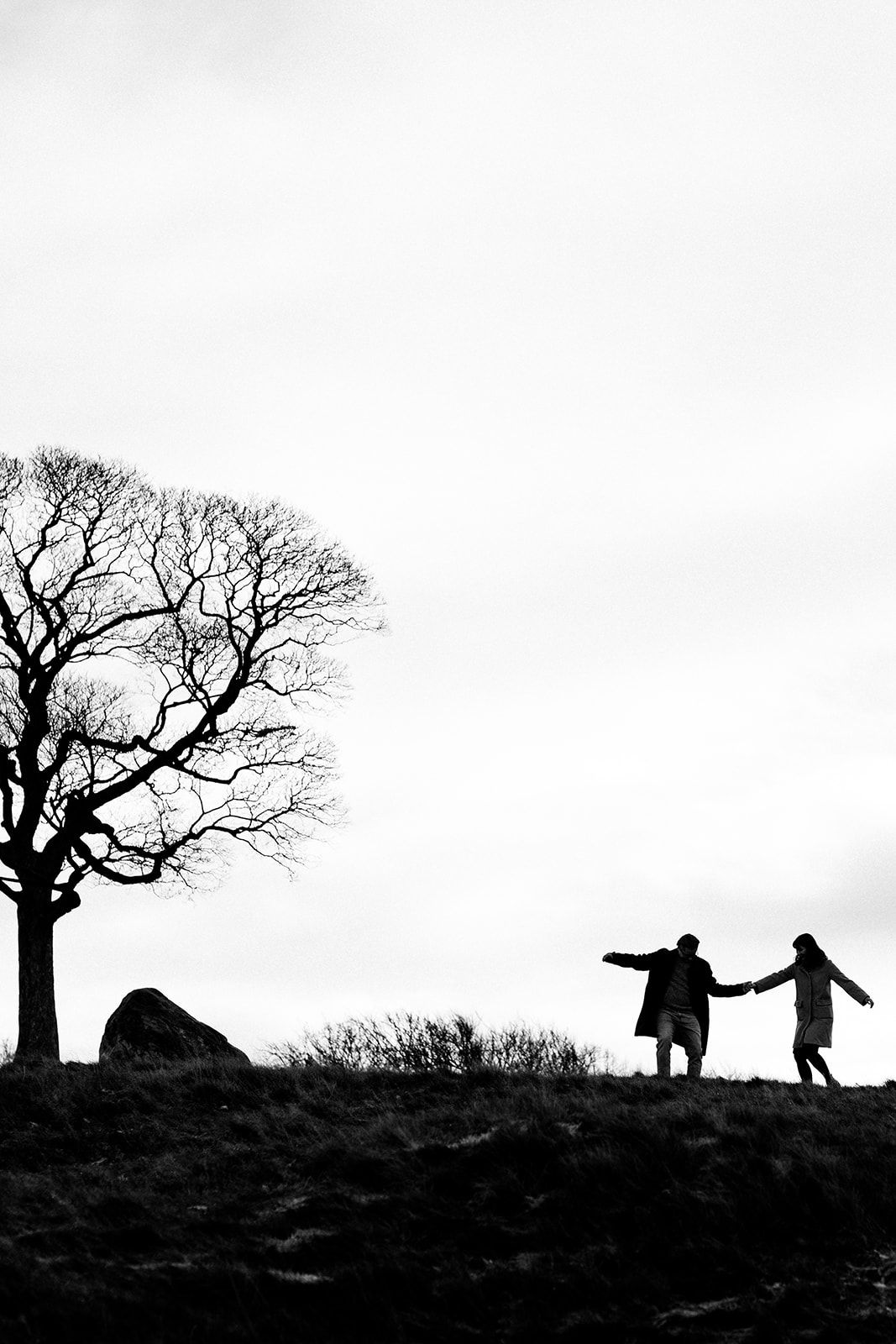 Black and white silhouette of two people holding hands on a hilltop with a bare tree against an overcast sky.