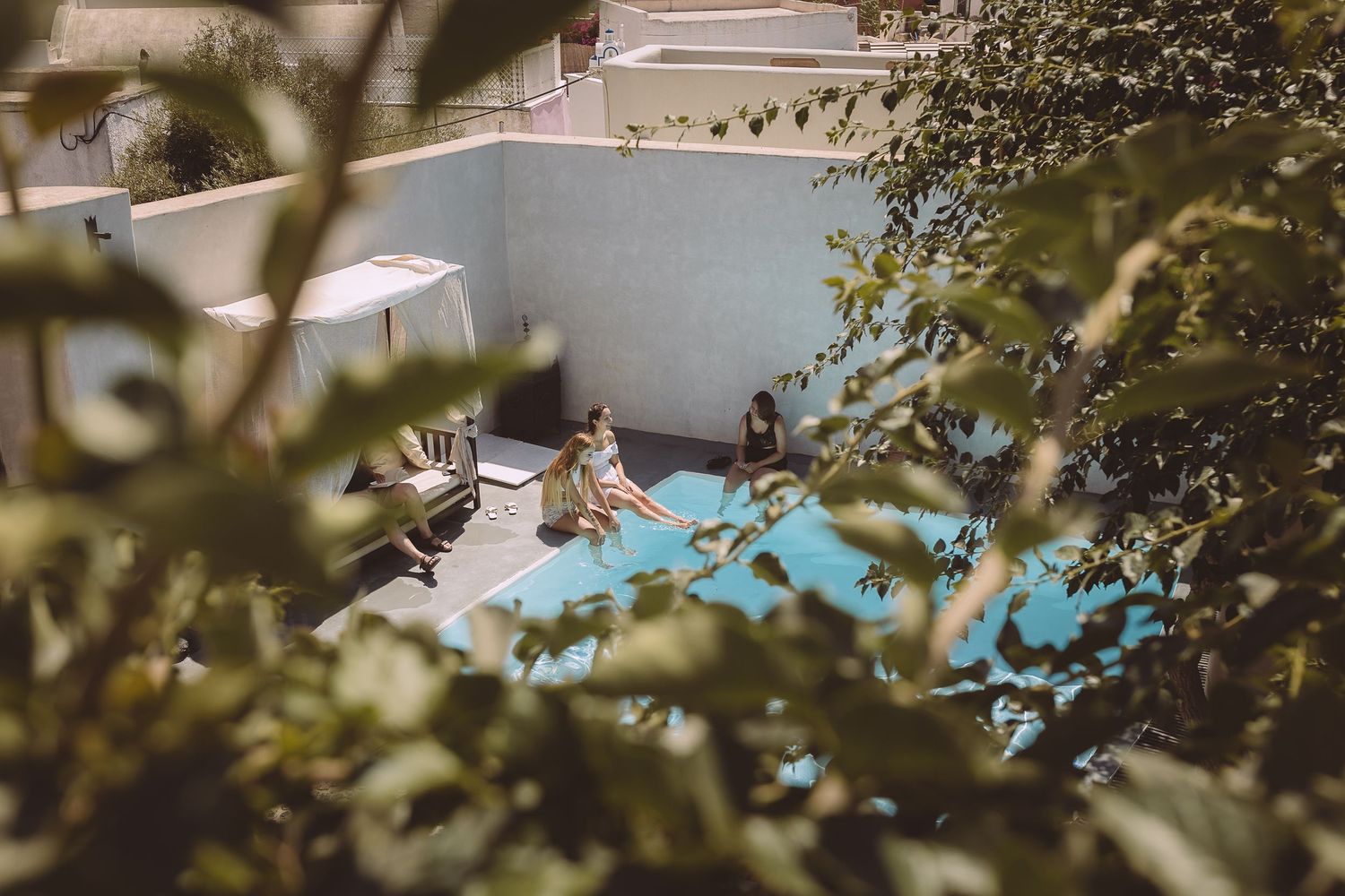 A turquoise swimming pool surrounded by lush green foliage and a white building in a tranquil backyard setting.