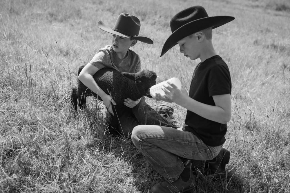 Two boys in cowboy hats sit in a field bottle-feeding a small black lamb together.