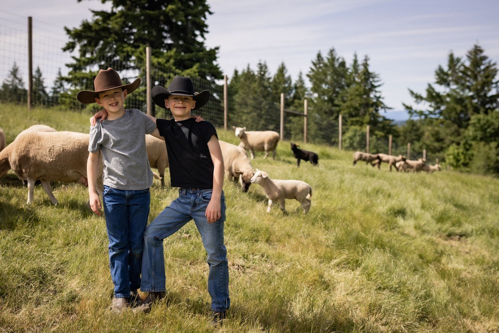 Two boys in cowboy hats stand in a pasture with a flock of sheep grazing behind them.