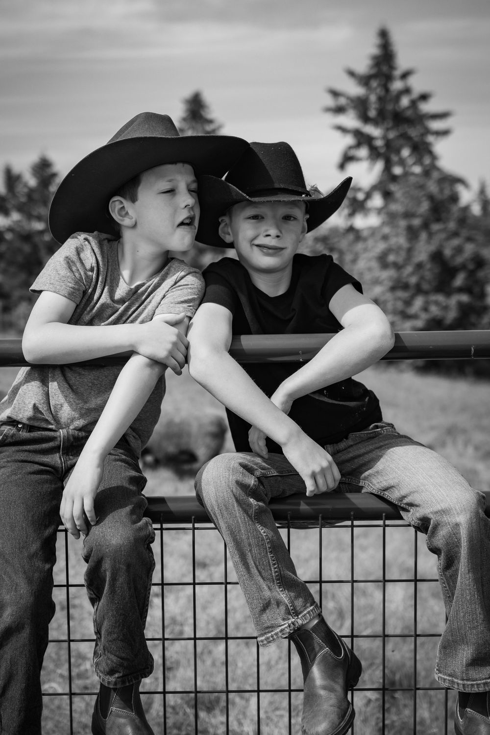 Two boys wearing cowboy hats sit together on a metal farm gate in black and white.