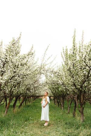 White spring blossoms frame figure in flowing white dress in orchard setting in Provo, Utah