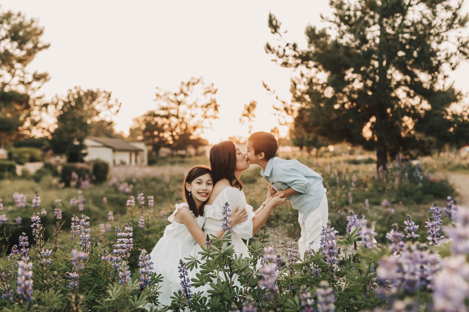 A romantic sunset photoshoot in a field of purple wildflowers with soft golden light filtering through the trees.