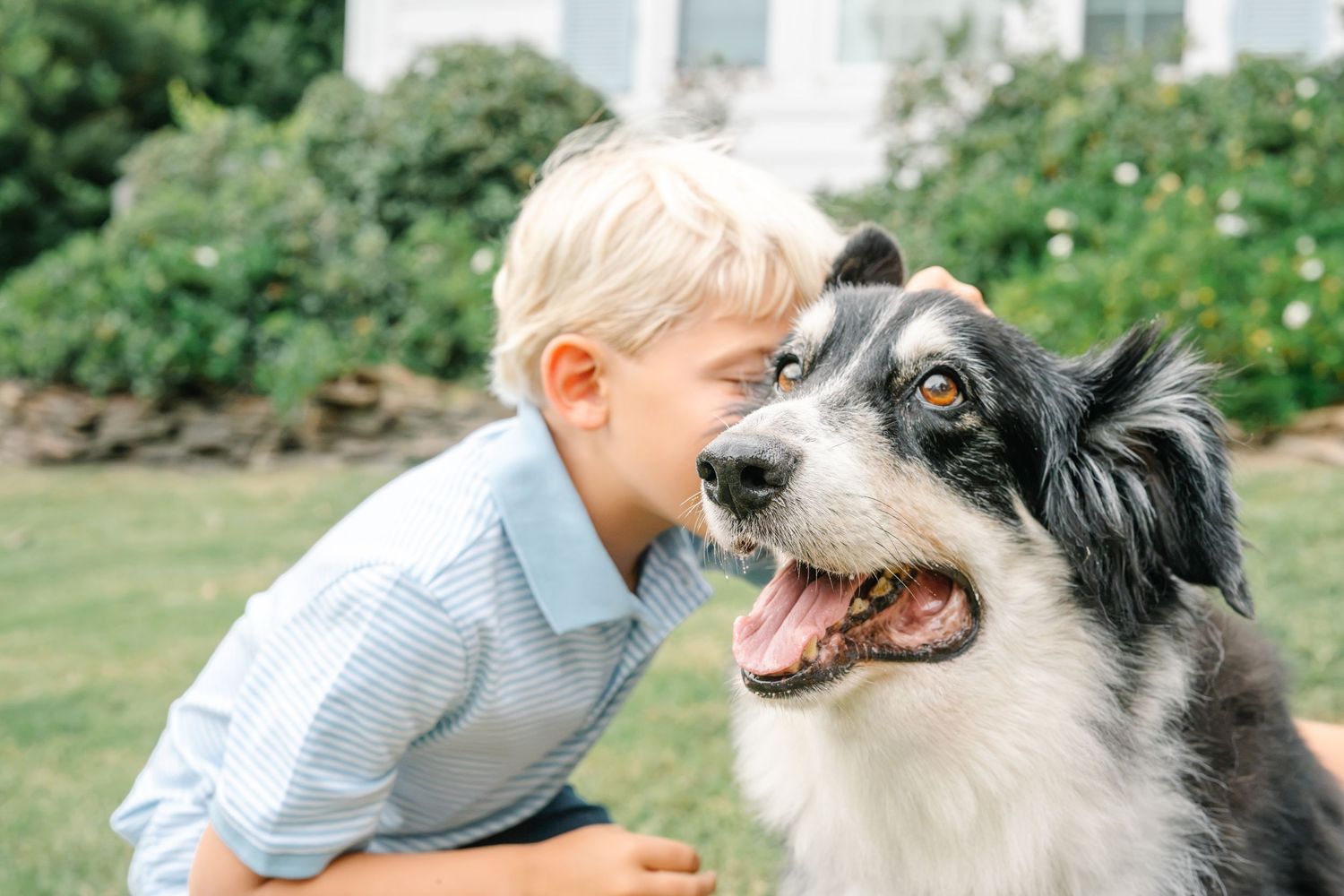 A young blonde boy affectionately nuzzles a happy black and white Border Collie dog outdoors in a lush green garden.