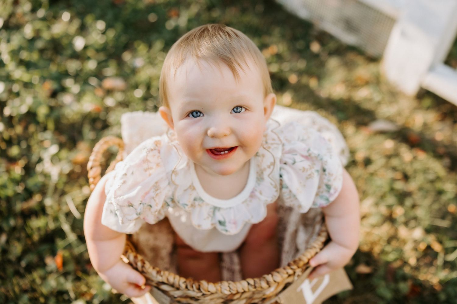 A series of candid outdoor photos showing a young child in a white lace dress playing in autumn leaves.