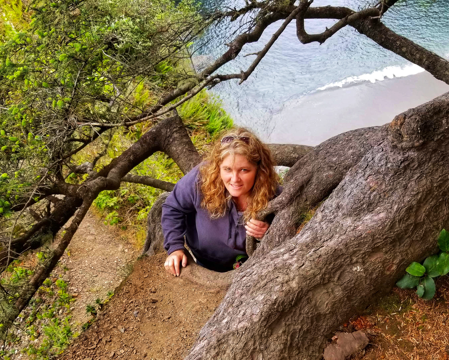 Rocky coastal trail winding through moss-covered boulders and overhanging trees.