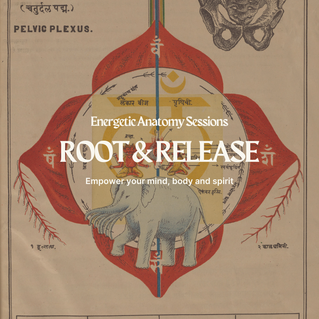 Root & release_Yoga Korner