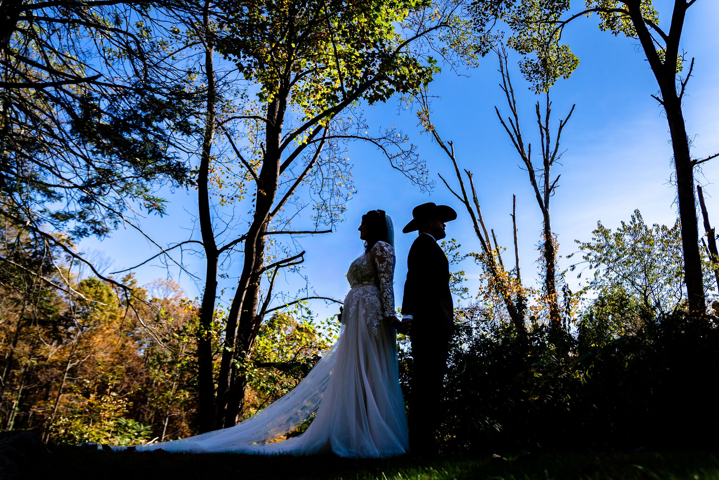 Silhouetted couple in wedding attire stands against dramatic sunset sky with trees in autumn forest setting.