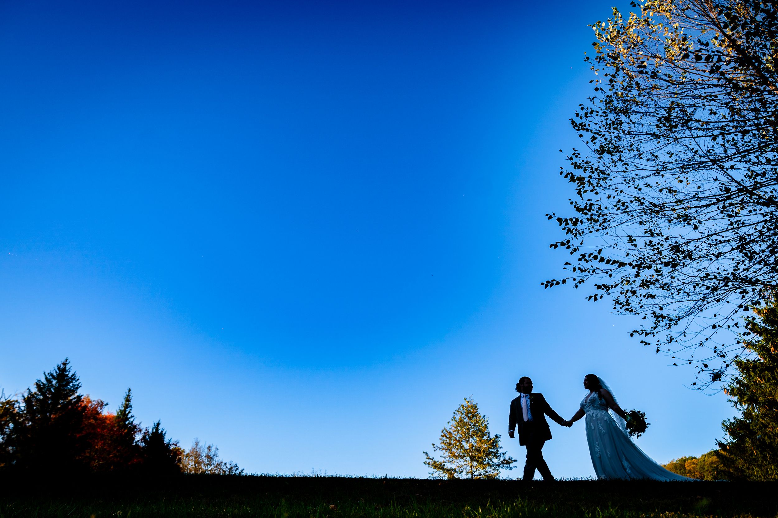 Silhouettes of people enjoying outdoor activities at a skate park during sunset against a vibrant blue sky.